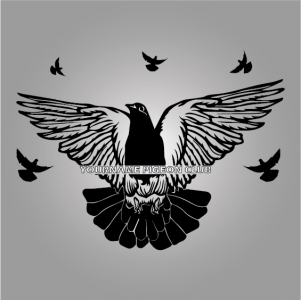 Pigeon logo Creactivity & Design in Adobe ilustration  For Free In Corel Draw Design 2024