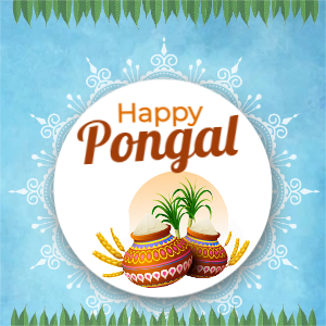 happy pongal 