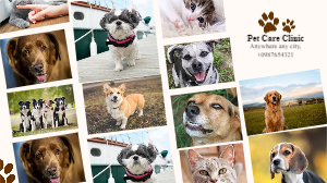 White Modern Frame Pet Clinic Care Collage Facebook Cover 