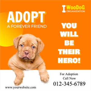 Dog Adoption Social Media Banner Template