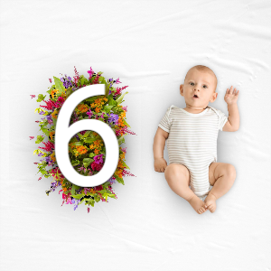 6 Month Baby Wishes