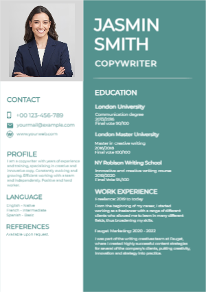 PROFESSIONAL ONLINE RESUME TEMPLATE 