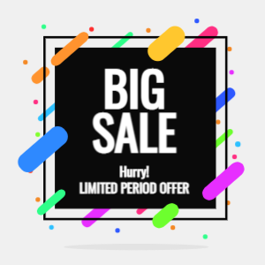Big sale social media banner template shopping vector image