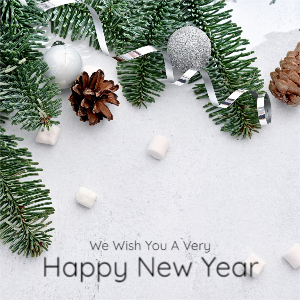Happy New Year Winter Theme Download Free